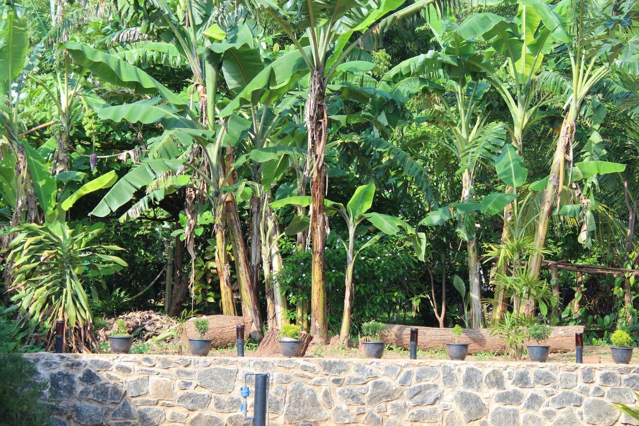 Walawa Family Villa Udawalawe Bagian luar foto